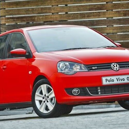 Polo vivo 10-18